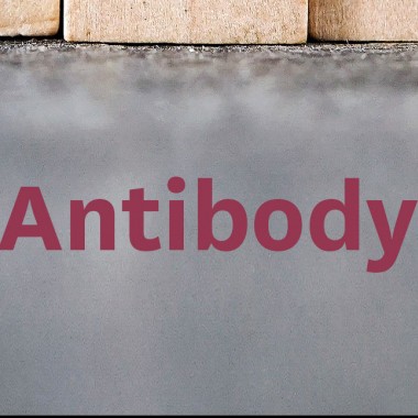 LA County Antibody Testing Update